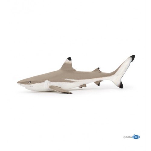 ANIMAUX MARINS - REQUIN A POINTES NOIRES