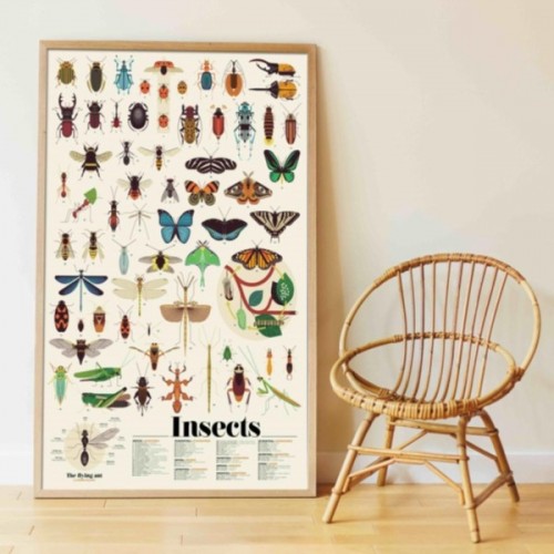 POSTER GEANT DISCOVERY INSECTES + 44 STICKERS