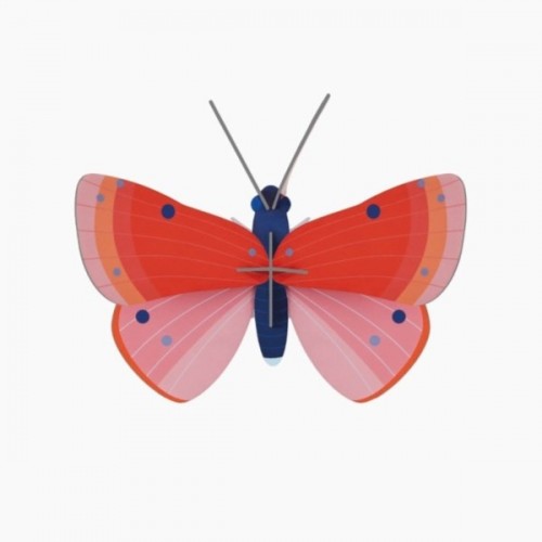 INSECTE SPECKLED COPPER BUTTERFLY PAPILLON