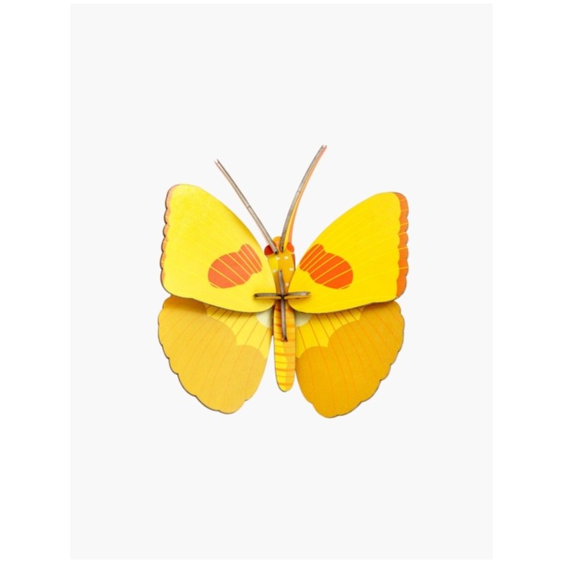 INSECTE YELLOW BUTTERFLY PAPILLON