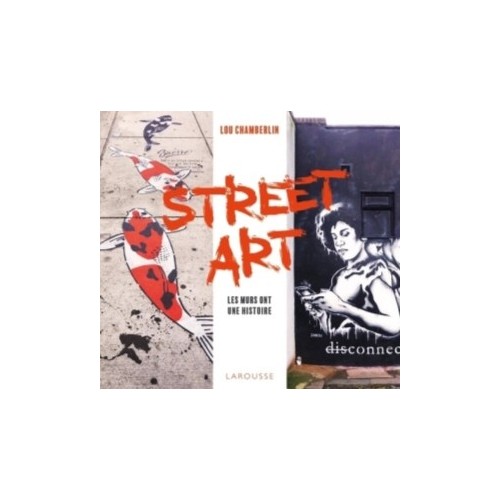 STREET ART - LES MURS ONT UNE HISTOIRE