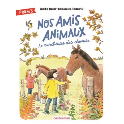 NOS AMIS ANIMAUX - LE SANCTUAIRE DES CHEVAUX