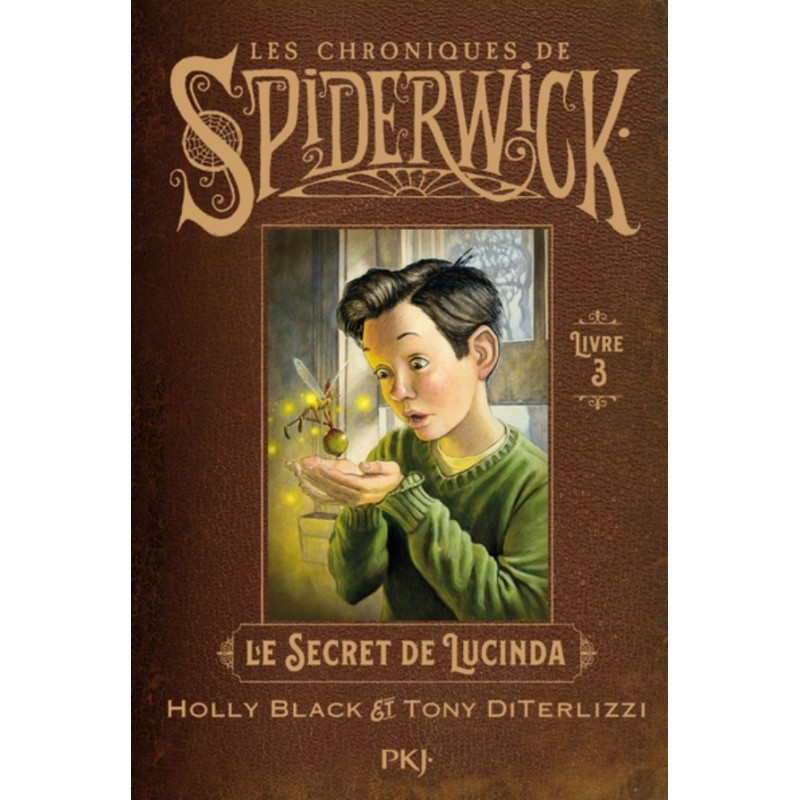 LES CHRONIQUES DE SPIDERWICK T03 - LE SECRET DE LUCINDA