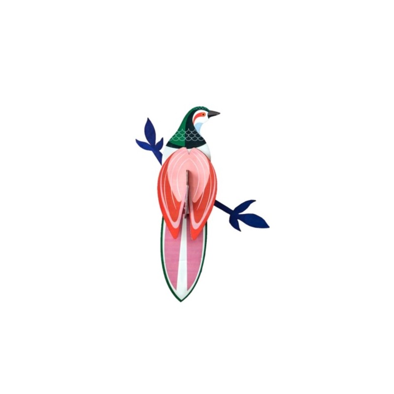 OISEAU PARADISE BIRD, RANI