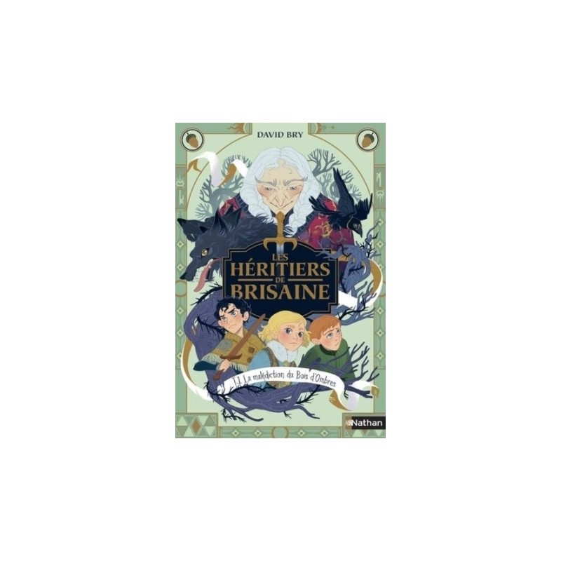LES HERITIERS DE BRISAINE T01 - LA MALEDICTION DU BOIS D'OMBRES