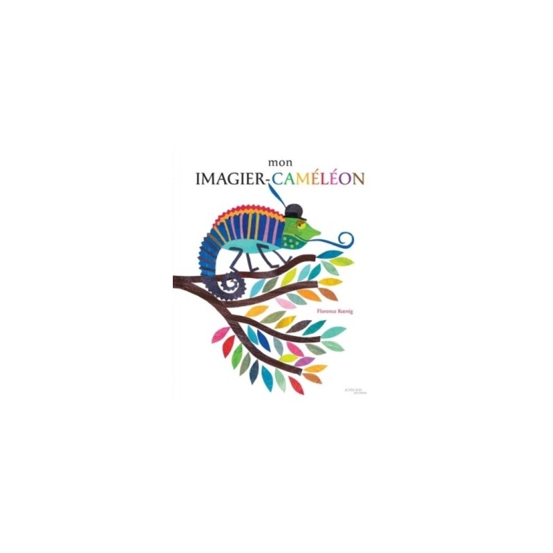 MON IMAGIER CAMELEON