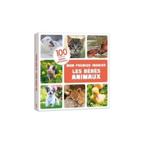 LES BEBES ANIMAUX
