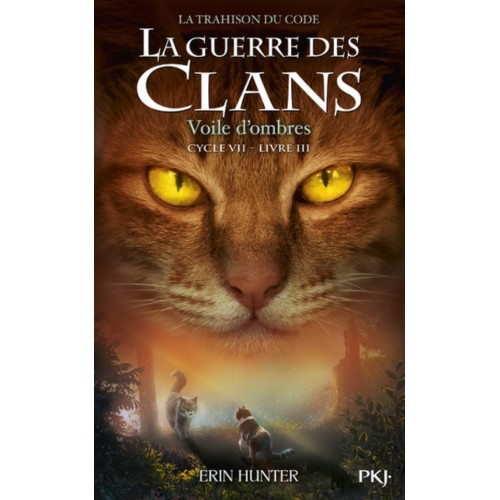 GUERRE DES CLANS CYCLE VII t03 - VOILE D&#039;OMBRES
