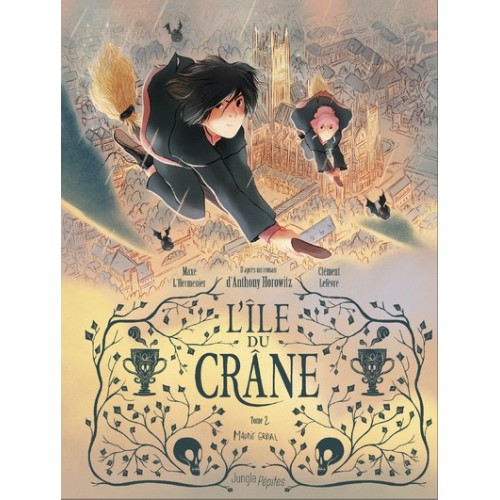 L&#039;ILE DU CRANE T02 - MAUDIT GRAAL