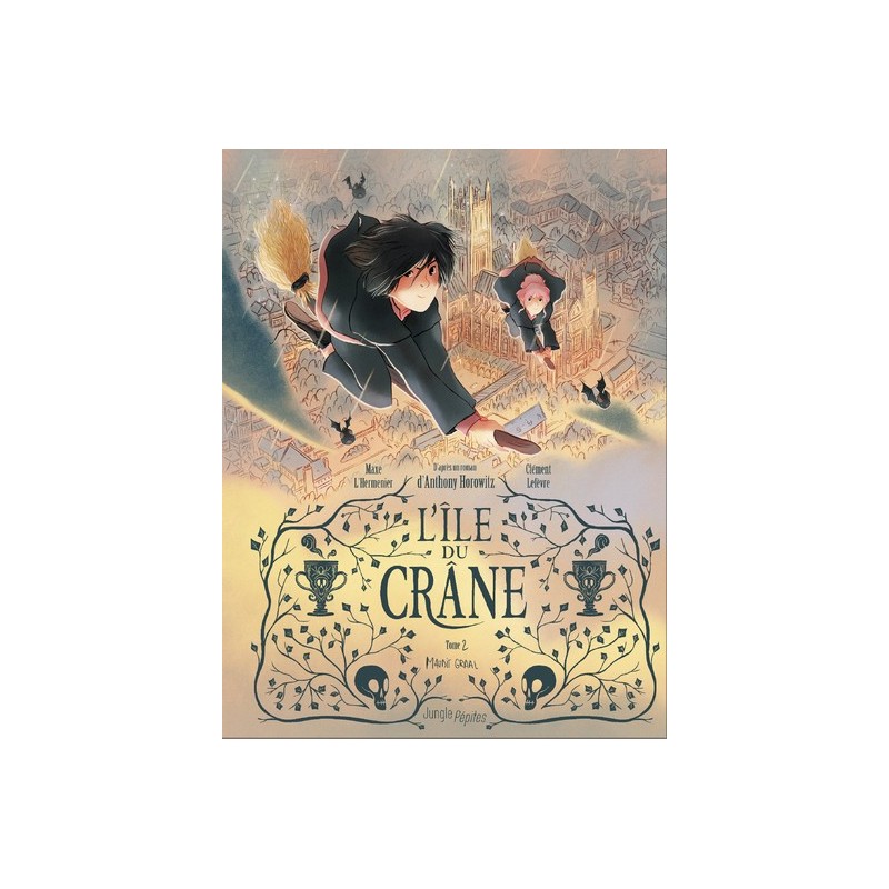 L'ILE DU CRANE T02 - MAUDIT GRAAL