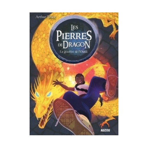 LES PIERRES DE DRAGON T02 - LE GOUFFRE DE L&#039;OUBLI