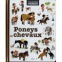 MES ANNEES POURQUOI - PONEYS ET CHEVAUX