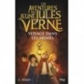 LES AVENTURES DU JEUNE JULES VERNE T03 - VOYAGEDANS LES ABIMES