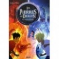 LES PIERRES DE DRAGON TOME 1 - LA METAMORPHOSE