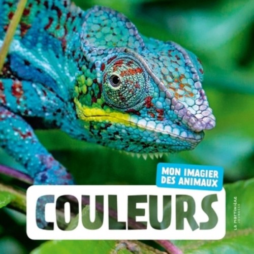 MON IMAGIER DES ANIMAUX - COULEURS