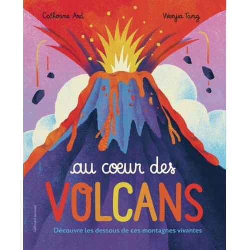 AU COEUR DES VOLCANS - DECOUVRE LES DESSOUS DE CES MONTAGNES VIVANTES