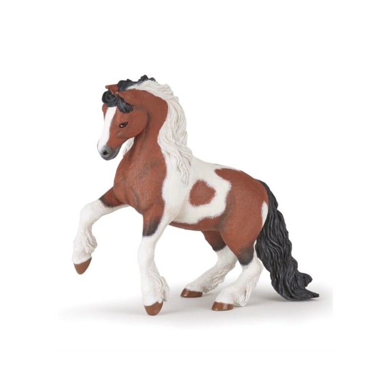 CHEVAL - COB IRLANDAIS