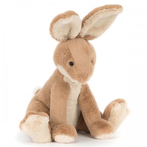 LIEVRE HORTICUS HARE