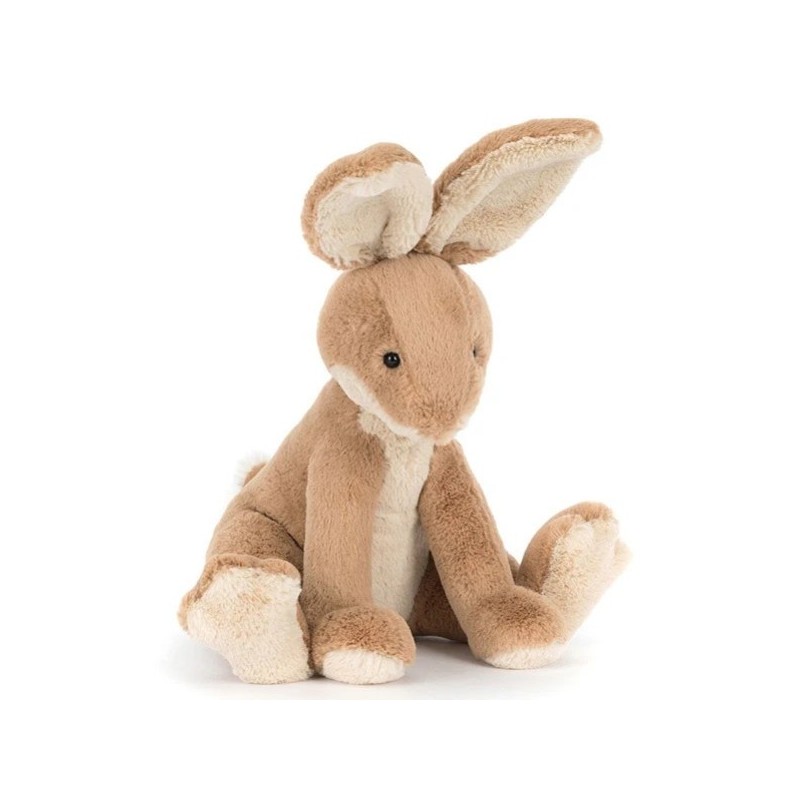 LIEVRE HORTICUS HARE