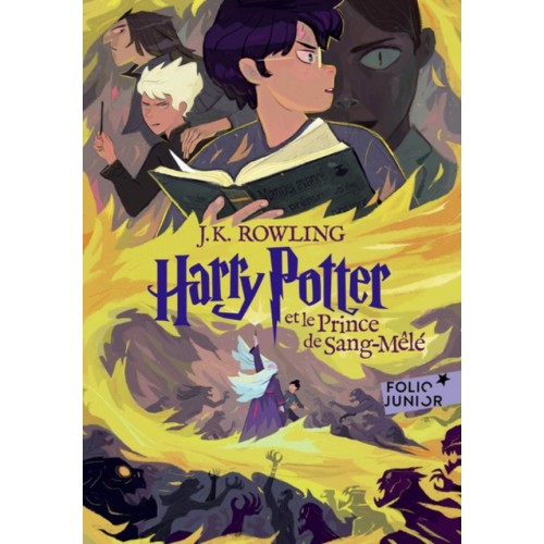 HARRY POTTER T06 - HARRY POTTER ET LE PRINCE DE SANG MELE