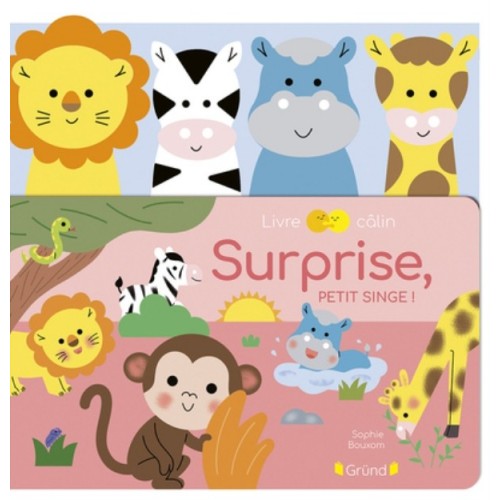 SURPRISE, PETIT SINGE !