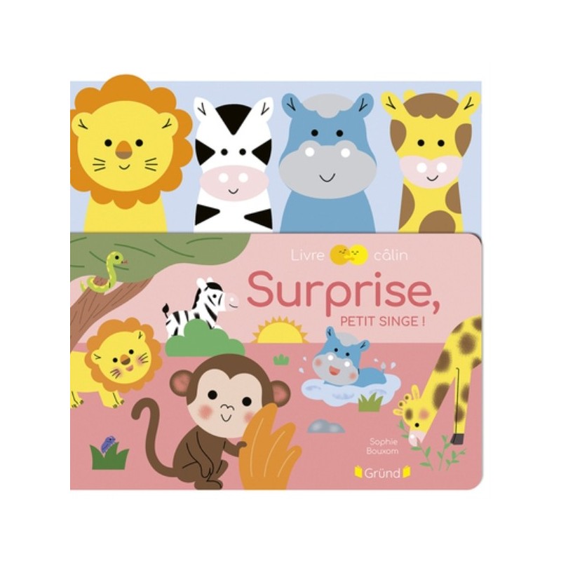SURPRISE, PETIT SINGE !