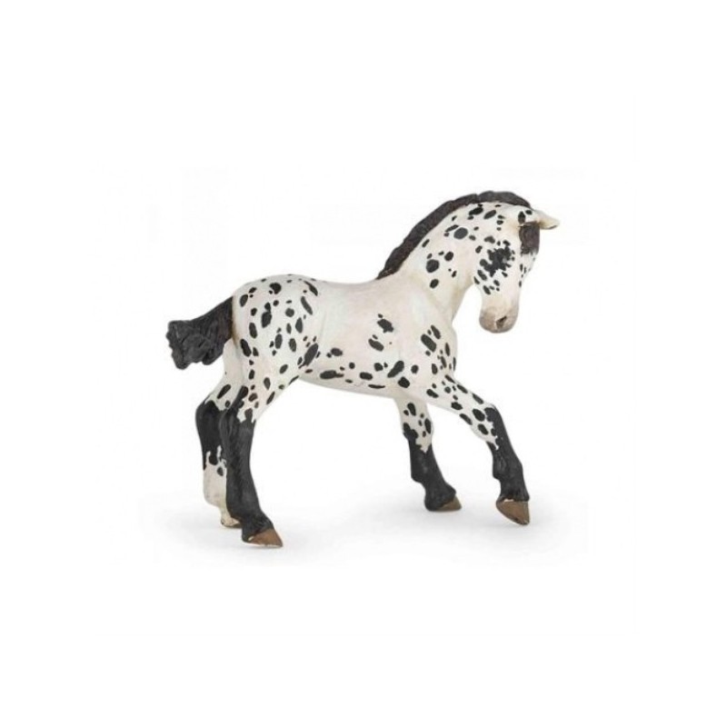 CHEVAL - POULAIN APPALOOSA NOIR
