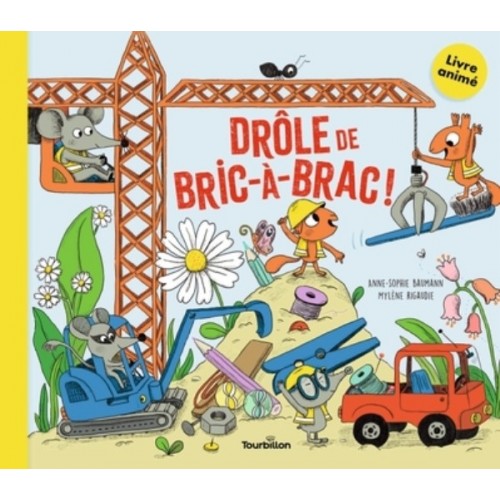 DROLE DE BRIC-A-BRAC !