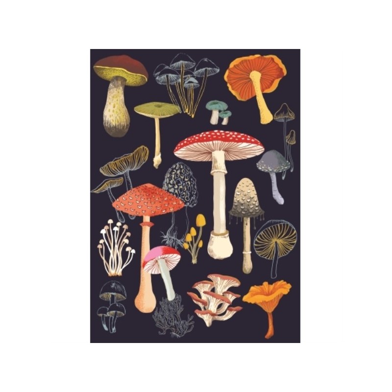 CAHIER A5 COUVERTURE SOUPLE LES CHAMPIGONS