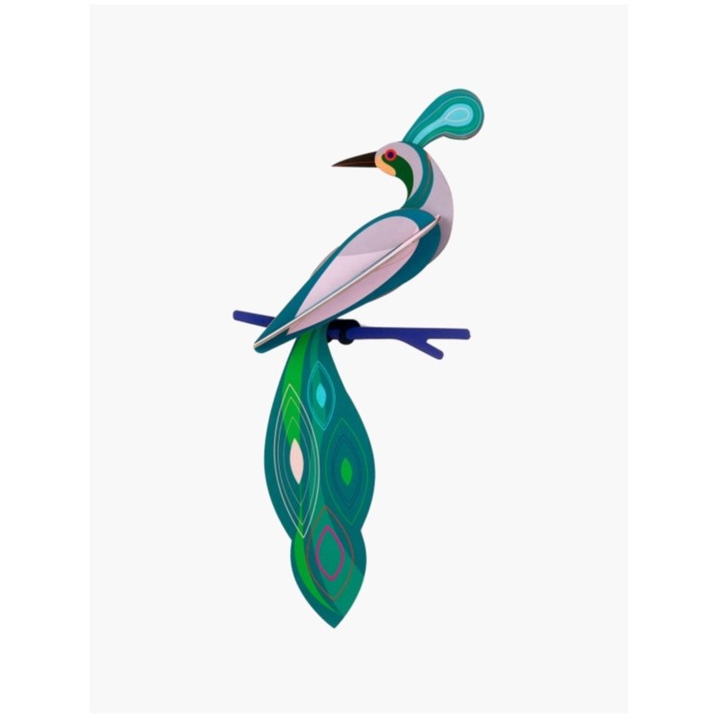 OISEAU PARADISE BIRD, FIDJI